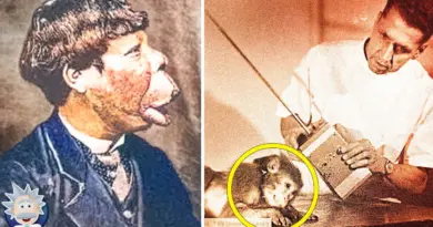 Les Expériences Scientifiques Les Plus Horribles de L’Histoire – Documentaire