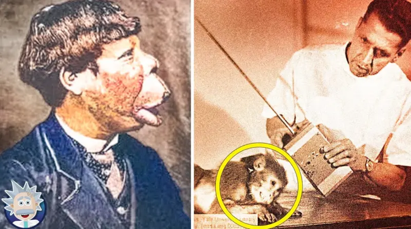 Les Expériences Scientifiques Les Plus Horribles de L’Histoire – Documentaire
