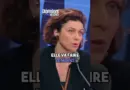 Les avions sont inspirés des chouettes, selon Kalina Raskin, invitée des Pionniers sur BFMBusiness