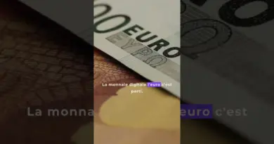 L’esclavage numérique nouvelle forme d’ esclavage fin de notre liberté l’euro numérique est déjà là