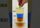 L’expérience pour comprendre la densité !