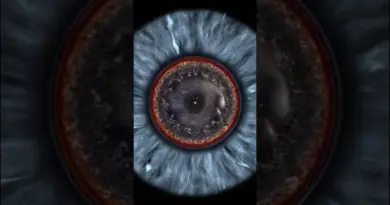 L’univers est-il fini ou infini? #univers #science #astronomie #espace #cosmos #astro #nasa #space