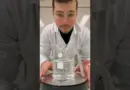 Lycopodium 🌵💦 @Monsieurlechat94 #chimie #experience #science #visuel