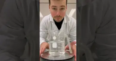 Lycopodium 🌵💦 @Monsieurlechat94 #chimie #experience #science #visuel