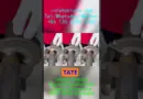 Machine de soudage orbital Fournisseur en France pour projets industriels et hautes exigences