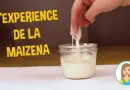 Maizena eau experience scientifique amusante ! Le fluide non newtonien à découvrir !