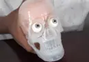 Making Science Fun and Encouraging