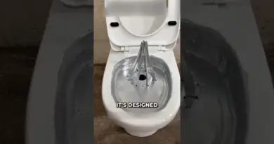 Meet the Genius Who Built the Toilet of the Century!