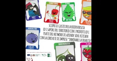 Mobilité durable et tourisme lent