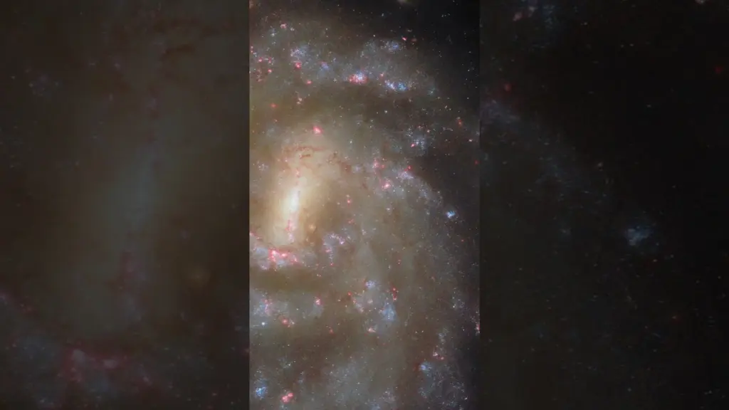 NGC 685 – Hubble Space Telescope #shorts