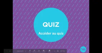 Naviguer en ligne : vie privée et sécurité
