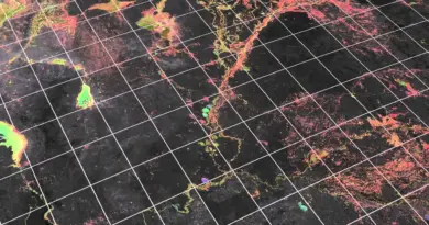 Next Generation Architectures for Earth Observation Data: The Data Cube Approach
