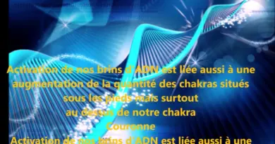 Origine et futur de l’humanité, divinité et ADN