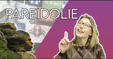 Paeïdolie? La définition dans « Les sciences et moi »