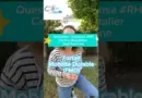 Question/Réponse RH CHSE #8: le Forfait Mobilité Durable (FMD)