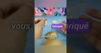 Réaliser Ces Expériences Scientifiques avec Vos enfants🔥🌏🎊🔕 #science #faitscientifique #reaction