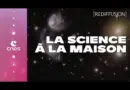 [Rediffusion] Galaxy Zoo : la science à la maison ft. @laboiteacuriosites