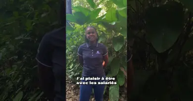 Rencontre avec le service environnement du @Centrespatialguyanais 💬🦥