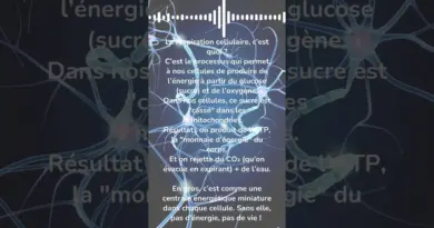 Respiration cellulaire : comment nos cellules produisent de l’énergie ? | Vulgarisation #2