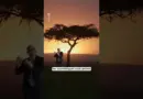 Saviez-vous que Taylor Swift a fait tremblé la Terre ?