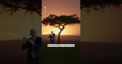 Saviez-vous que Taylor Swift a fait tremblé la Terre ?