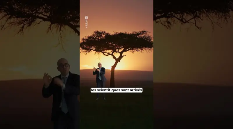 Saviez-vous que Taylor Swift a fait tremblé la Terre ?
