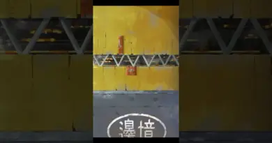 « Star Port » 2021