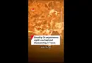 Starship 36 explodes during test fire