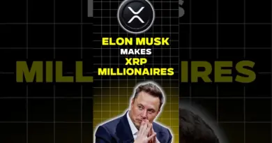 THIS is why #elonmusk is about to 225x XRP!🚨🚀 #crypto #bitcoin #xrp #xrpripple #xrpnews