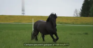 TOP 5 des inventions qui ont changé le monde 🌍 (tu utilises la #1 tous les jours !) 💡