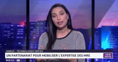 Technologies vertes: le Maroc mise sur les compétences des MRE