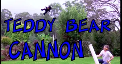 Teddy Bear Cannon with Calcium Carbide – Make Science Fun