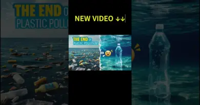 The End of Plastic Pollution? The Breakthrough That Could Save Our Oceans!