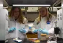 The Impact of Coronavirus to NASA’s Missions on This Week @NASA – March 27, 2020