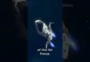 The Leadership of the Space Force