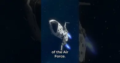 The Leadership of the Space Force