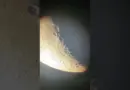 The Luna through my telescope #astronomy #science #shorts