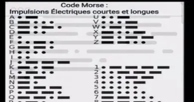 The Observer : Histoire de Technologie de Information – partie2