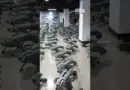 The Robots Are Coming