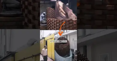 This behive-shaped air conditioner uses no electricity!