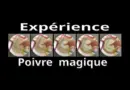 Tuto – comment réaliser l’expérience du poivre magique pour les enfants (COVID – virus – sciences )