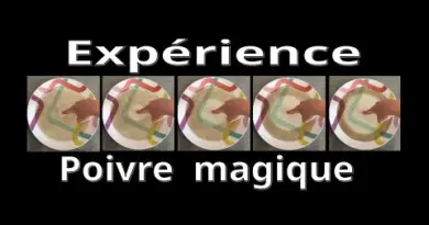 Tuto – comment réaliser l’expérience du poivre magique pour les enfants (COVID – virus – sciences )