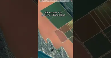 Un lac rose depuis l’espace : voilà Hutt Lagoon, en Australie 🛰️🇦🇺 #HebdomaTerre