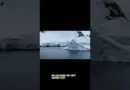 Un mystère scientifique sous la glace de l’Antarctique #mystère #science #sciencediscovery#education