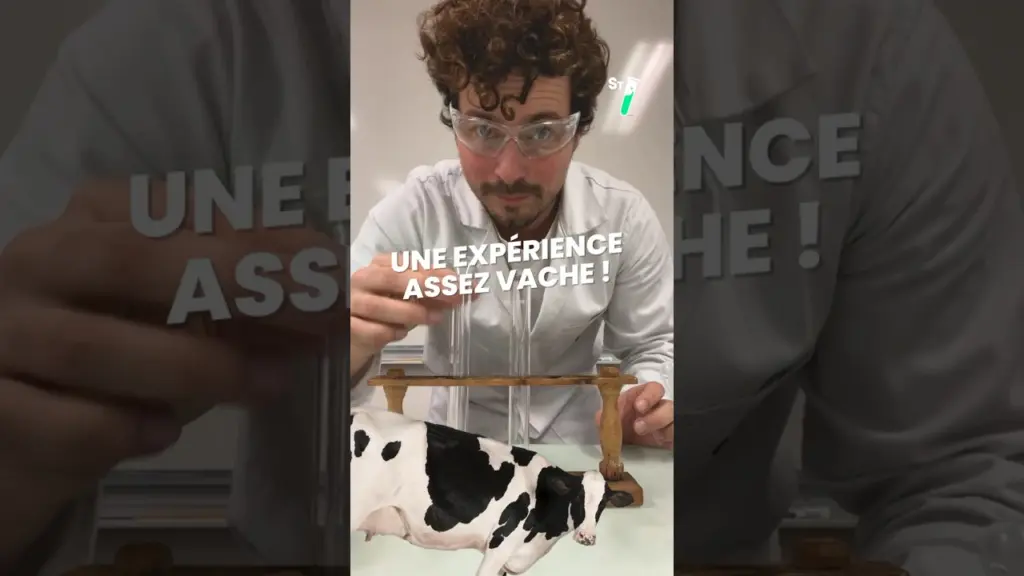 Une expérience culinaire vachement utile avec @Monsieurlechat94 🥛🍋#chimie #science