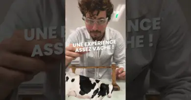 Une expérience culinaire vachement utile avec @Monsieurlechat94 🥛🍋#chimie #science