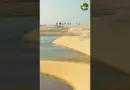 Une fraction du Sahara pourrait alimenter le monde 1
