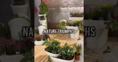 Unveiling Eco-Innovation: Valueline’s Sustainable Design Journey Revealed!