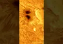 Very Big Sunspot 4079 Close Up! // Captured from My Backyard #astronomy #solarsystem #space