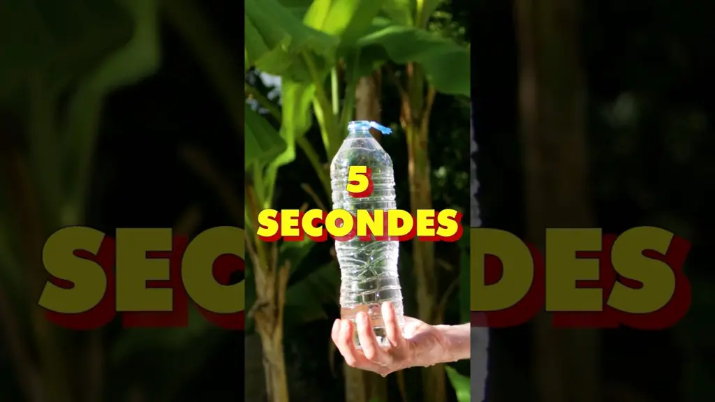Vider une bouteille en 5 SECONDES ! #education #science #experience